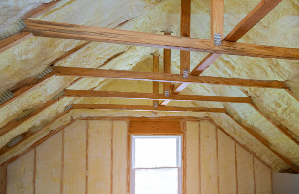 Best Commercial Insulation in Big Pine, CA