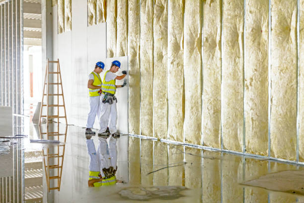 Best Insulation Installation Services in Big Pine, CA